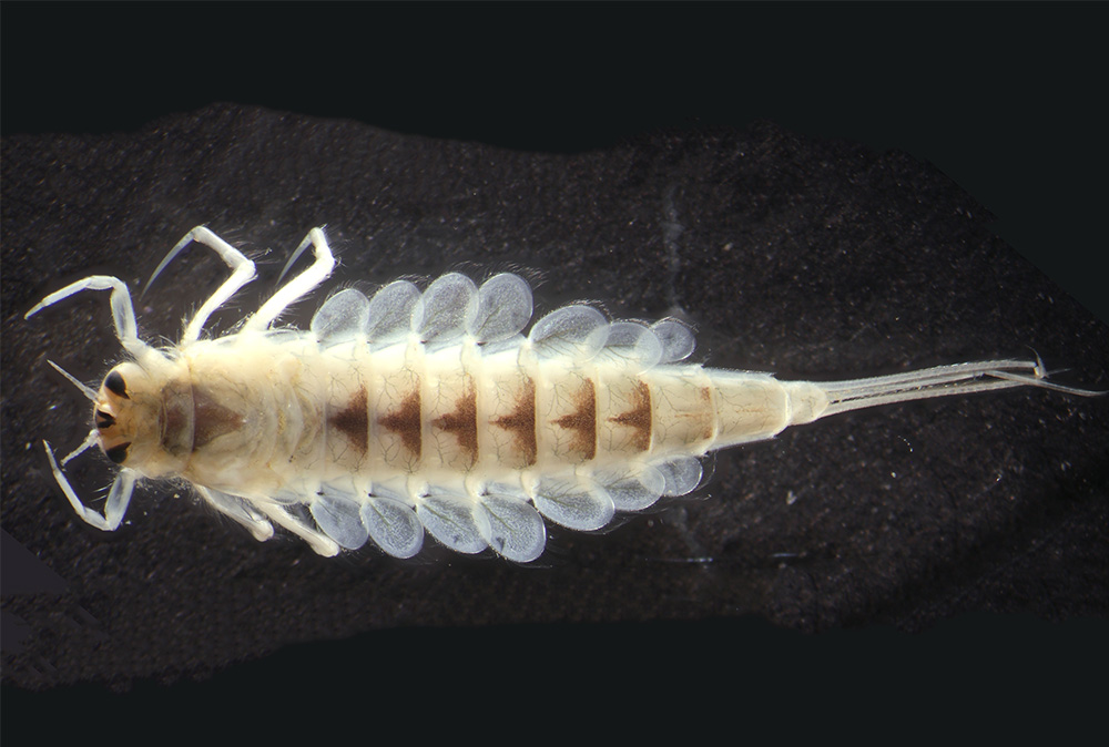 Foto: Lidija Kladarić