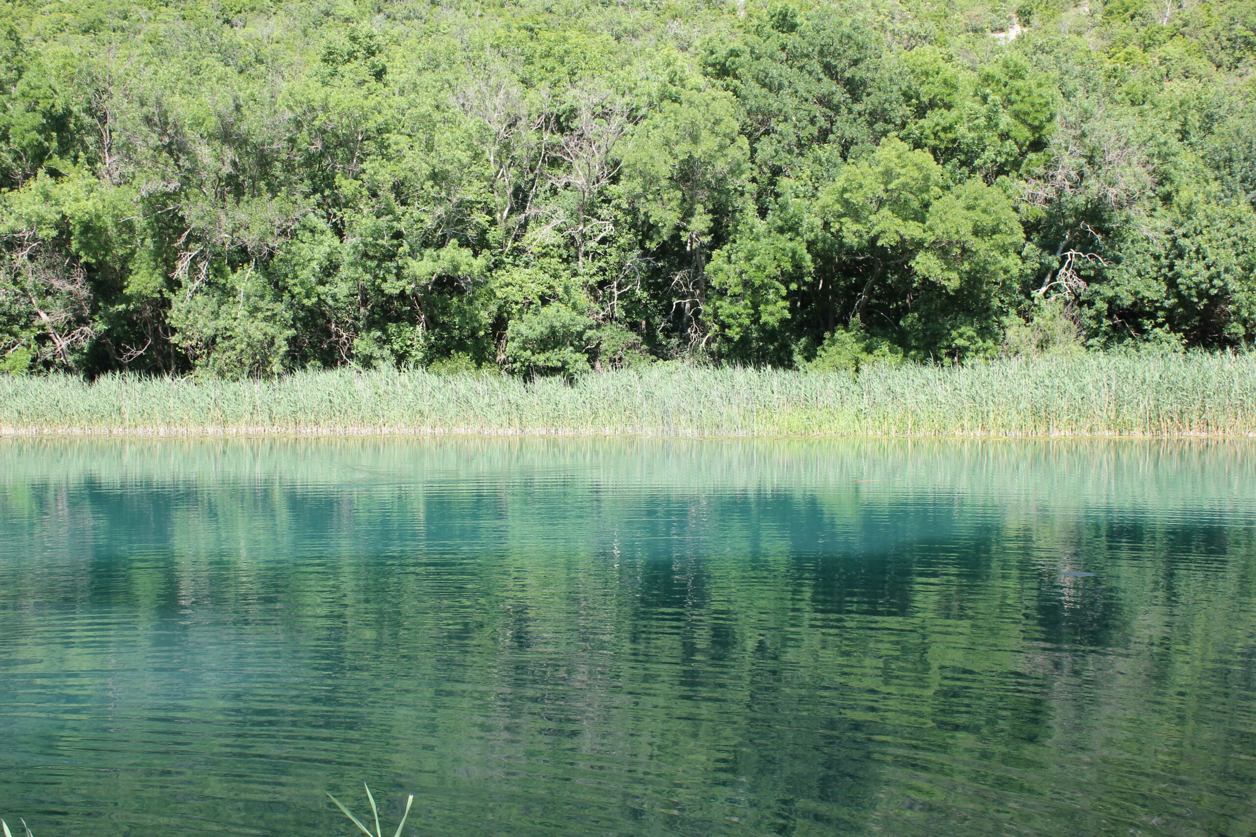 Gavanovi dvori – legenda u prostoru jedinstvene hidrologije