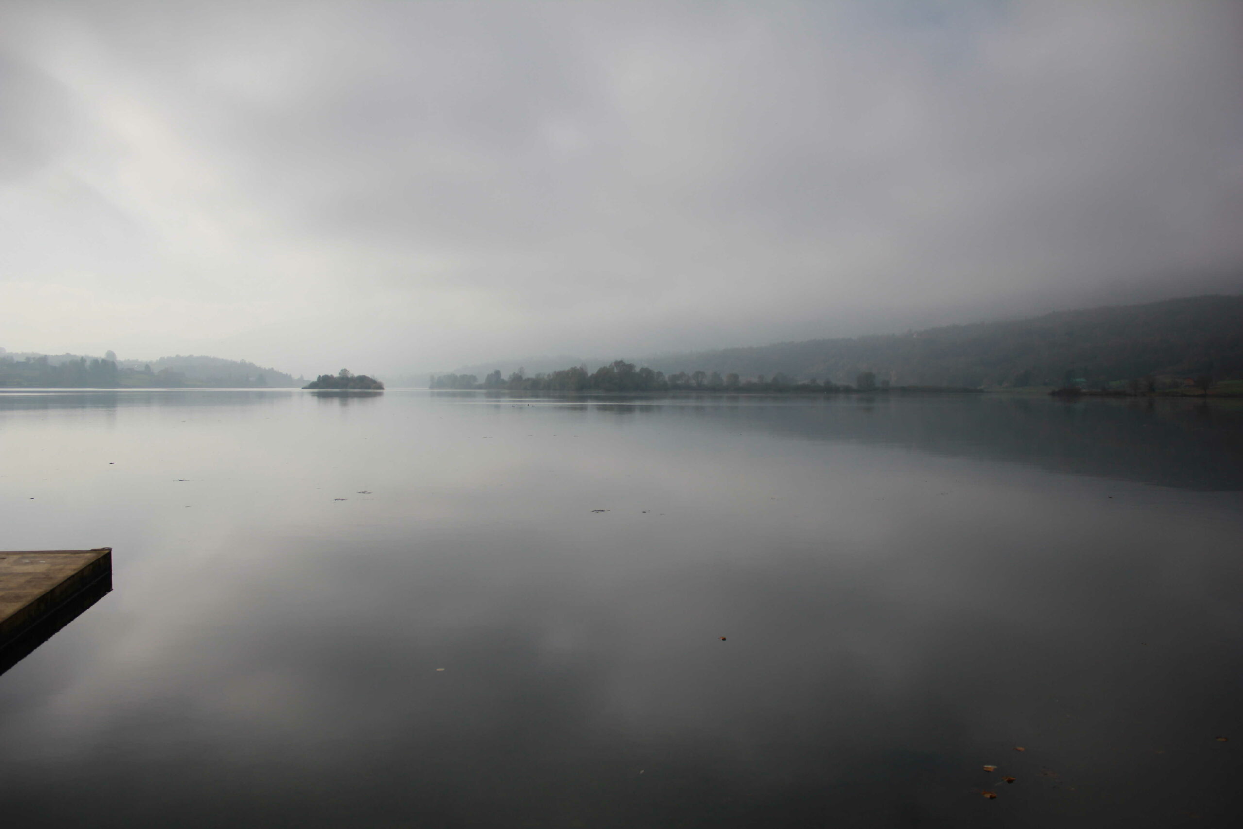 Dijatomeje – „vječni“ organizmi