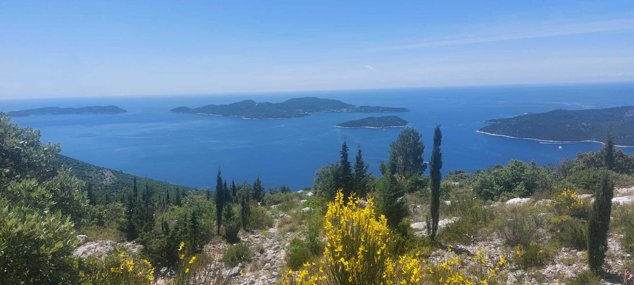 Data from the Institute and UNEP emphasise the importance of monitoring the state of the marine environment