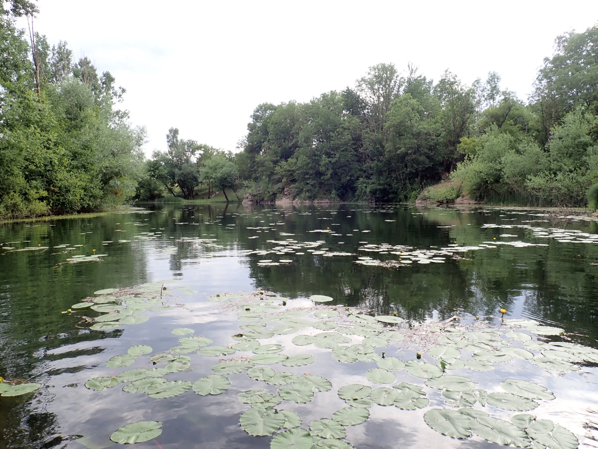 Rezultati analiza ciljanih pokazatelja u površinskoj vodi rijeke Novčice prije utoka u Liku u Ličko-senjskoj županiji