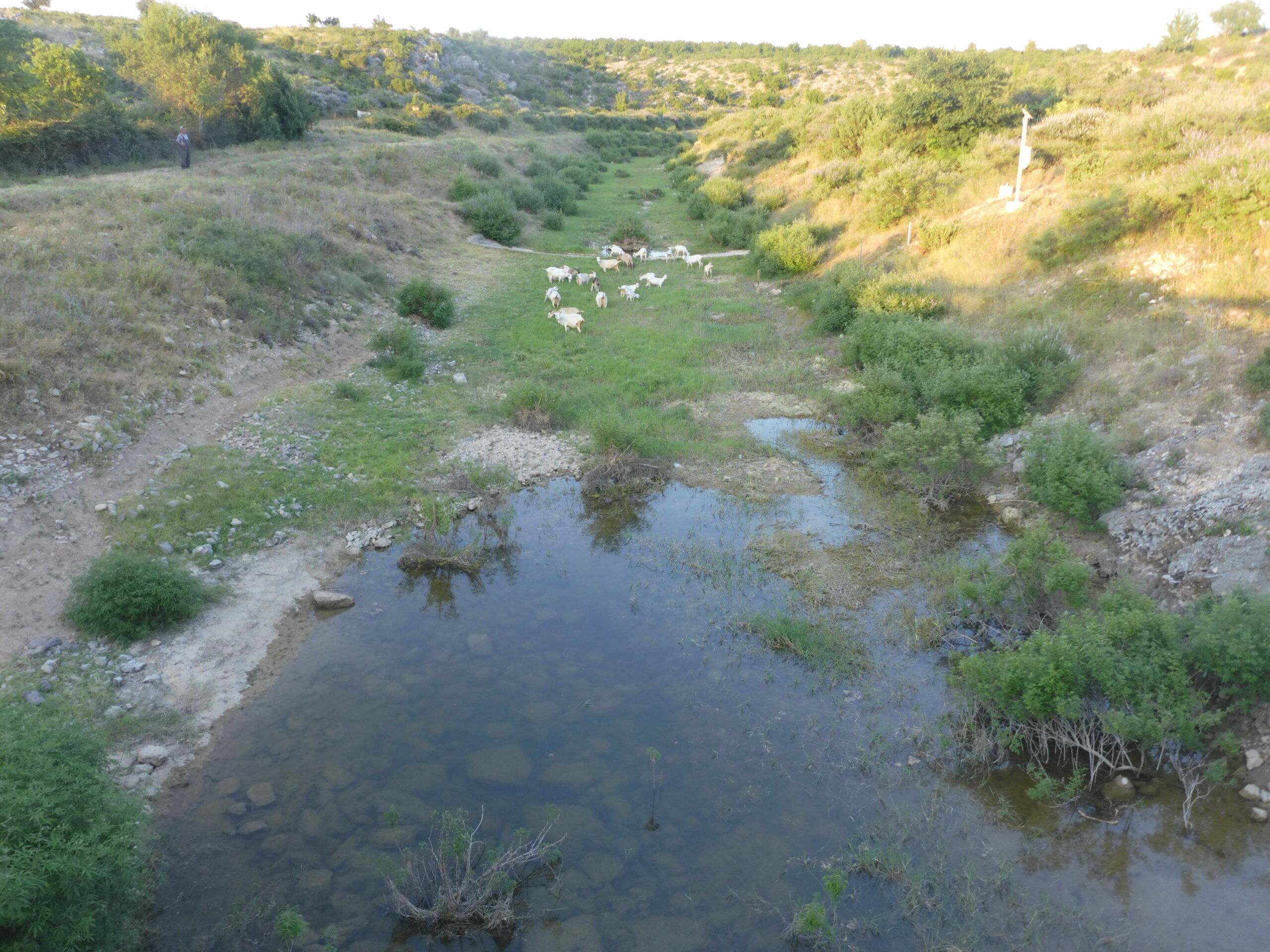 Record-Low water levels Reveal a New European Reality