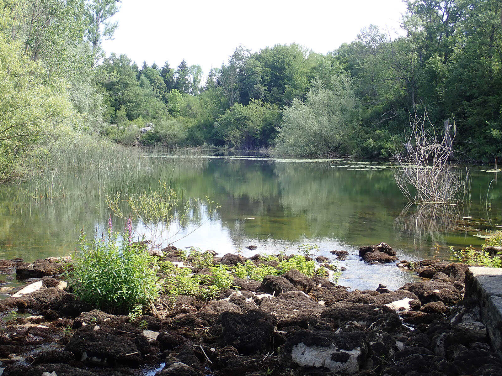 Results of the Analysis of Target Parameters as Part of the Expanded Surface Water Monitoring Programme in Lika-Senj County